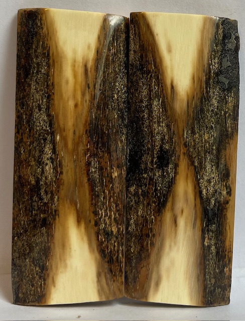  MAMMOTH IVORY SCALES         3-9/16 X 1-7/16 X 1/4 