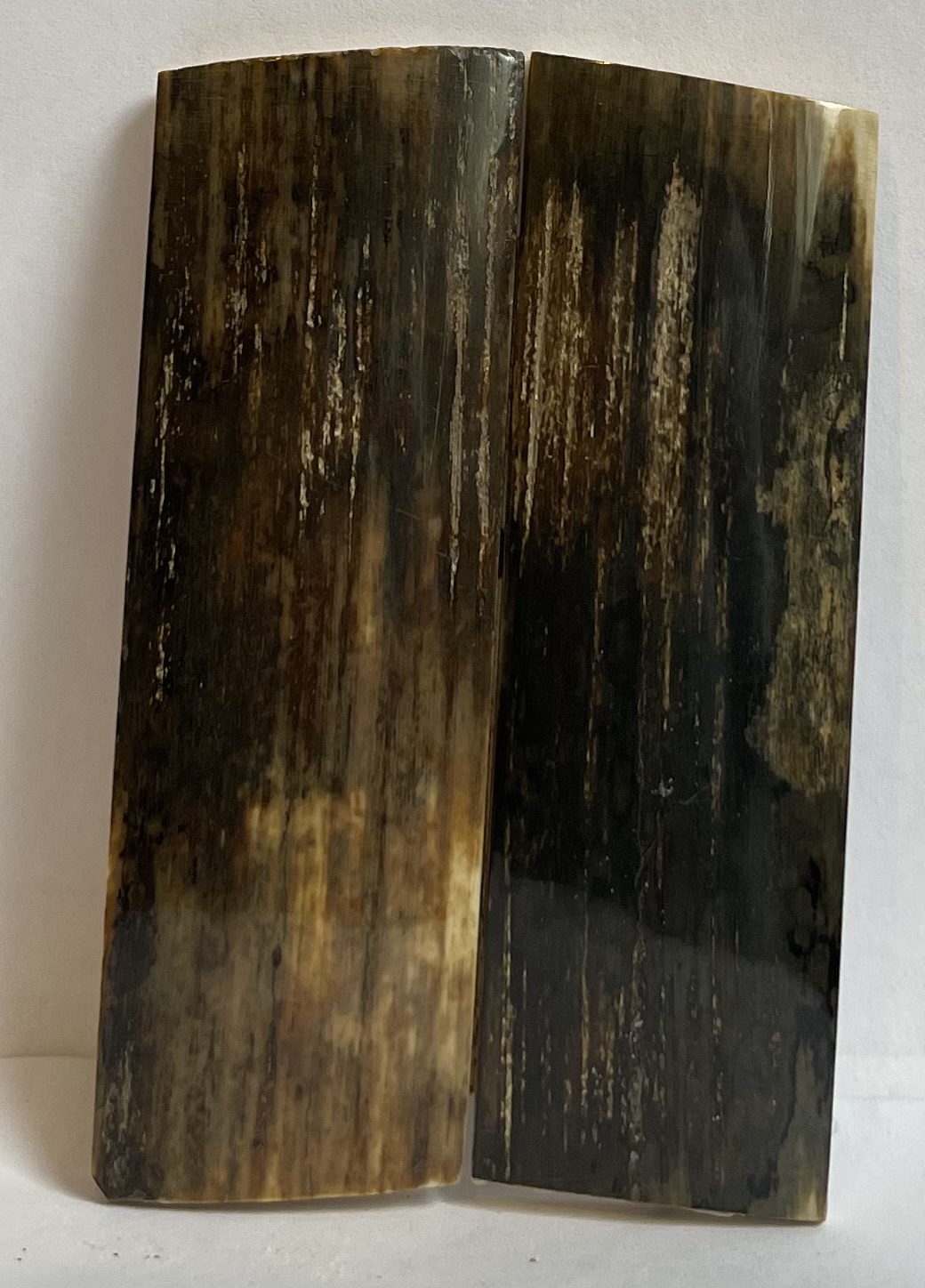  MAMMOTH IVORY SCALES         3-1/8 X 1 X 5/32