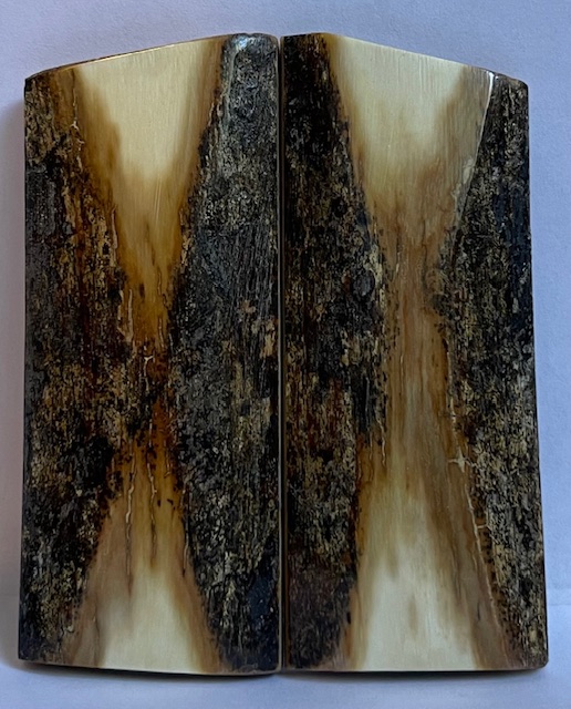 MAMMOTH IVORY SCALES           3 X 1-1/4 X 3/16