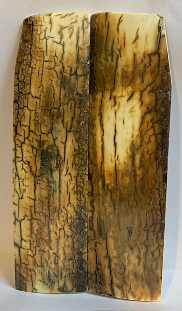  MAMMOTH IVORY SCALES             5-5/8 X 1-1/2 X 1/4