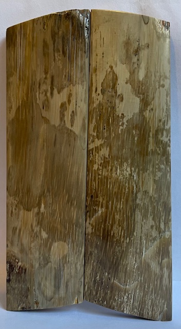  MAMMOTH IVORY SCALES           5-1/4 X 1-7/16 X 7/32