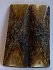  MAMMOTH IVORY SCALES         2-7/8 X 1 X 1/8