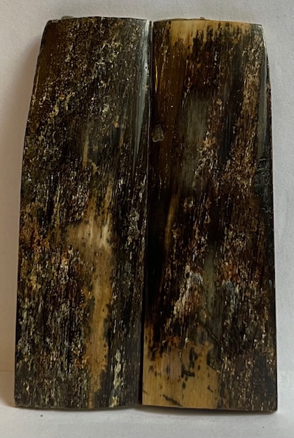  MAMMOTH IVORY SCALES           3 X 15/16 X 1/8