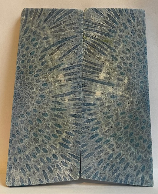 FOSSIL CORAL SCALES             4-1/4 X 1-5/8 X 7/32
