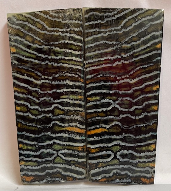 MAMMOTH TOOTH                   4-11/16 X 1-7/8 to 2 X 1/4