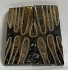 MAMMOTH TOOTH                 1-7/8 X 7/8 X 1/8