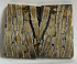 MAMMOTH TOOTH                 1-5/8 X 1-1/8 X 1/8