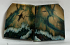MAMMOTH TOOTH                 1-5/8 X 1-1/4 to 1-5/16 X 1/8