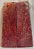 FOSSIL CORAL SCALES               5 X 1-7/16 to 1-1/2 X 3/16