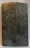 FOSSIL CORAL SCALES             4-1/2 X 1-3/8 X 1/8