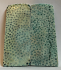 FOSSIL CORAL SCALES             3-13/16 X 1-9/16 X 1/8