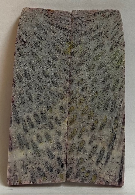 FOSSIL CORAL SCALES             3-1/16 X 15/16 X 1/8
