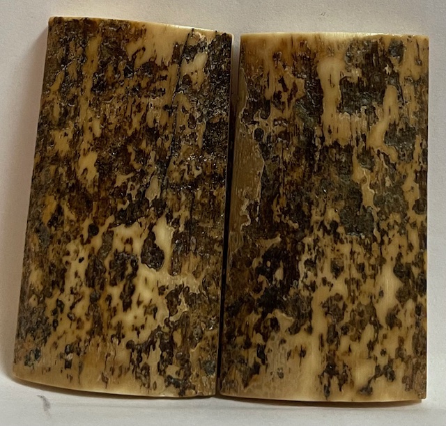  MAMMOTH IVORY SCALES          2-11/16 X 1-7/16 X 1/4