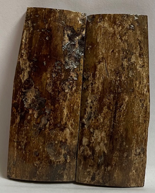  MAMMOTH IVORY SCALES          2-7/8 X 1-1/8 X 3/16