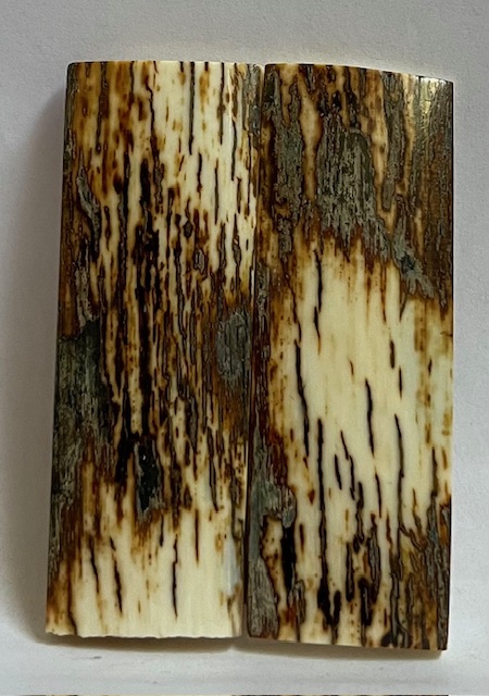  MAMMOTH IVORY SCALES          2-3/8 X 13/16 X 1/8