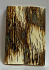  MAMMOTH IVORY SCALES          2-3/8 X 13/16 X 1/8