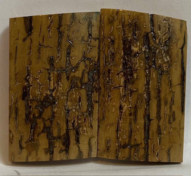  MAMMOTH IVORY SCALES           2-5/16 X 1-3/8 X 1/4