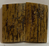  MAMMOTH IVORY SCALES           2-5/16 X 1-3/8 X 1/4