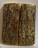  MAMMOTH IVORY SCALES           2-5/16 X 1 X 1/4