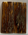  MAMMOTH IVORY SCALES           2-9/16 X 1 X 1/16