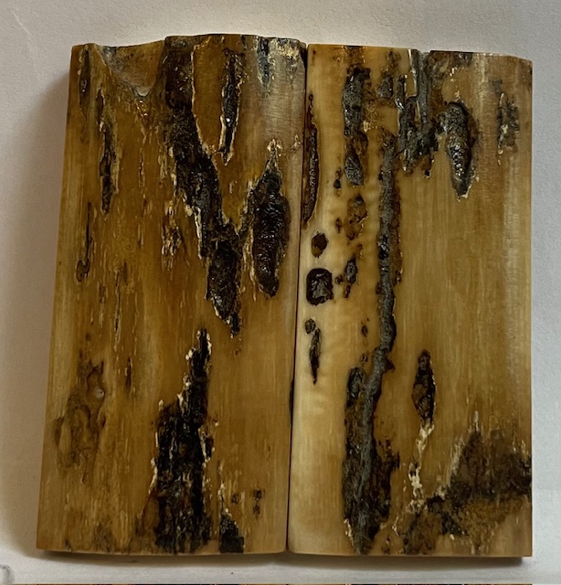  MAMMOTH IVORY SCALES           2-5/16 X 1-1/16 X 3/16