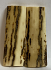  MAMMOTH IVORY SCALES           2-1/2 X 7/8 X 1/8