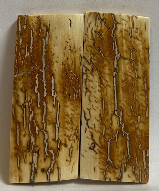  MAMMOTH IVORY SCALES           2-5/8 X 1-1/16 X 1/8