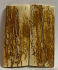  MAMMOTH IVORY SCALES           2-5/8 X 1-1/16 X 1/8