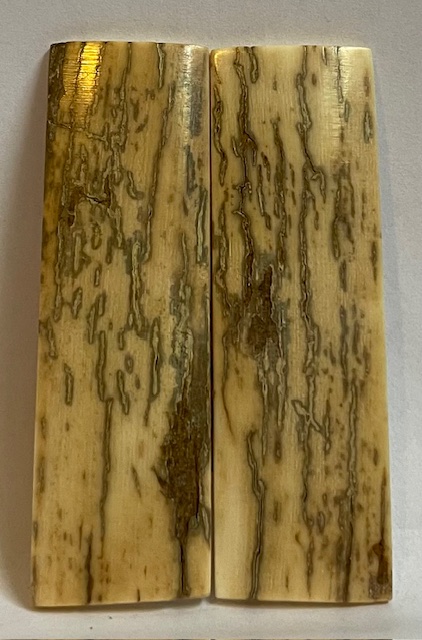  MAMMOTH IVORY SCALES           2-9/16 X 3/4 X 1/16