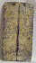 FOSSIL CORAL SCALES              4-7/8 X 1-3/16 X 1/8