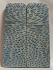 FOSSIL CORAL SCALES              4-3/4 X 1-5/8 X 1/4