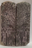 FOSSIL CORAL SCALES             3-7/8 tapers X 1-3/8 X 3/16