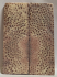 FOSSIL CORAL SCALES             4-1/2 X 1-9/16 X 1/8