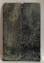FOSSIL CORAL SCALES             4-1/4 X 1-3/8 X 1/16
