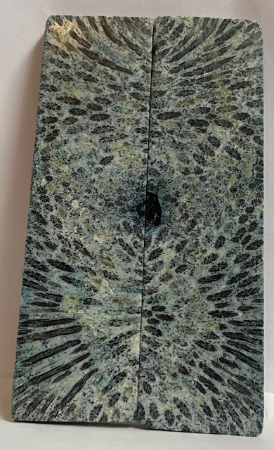 FOSSIL CORAL SCALES             4-15/16 X 1-3/8 X 7/32