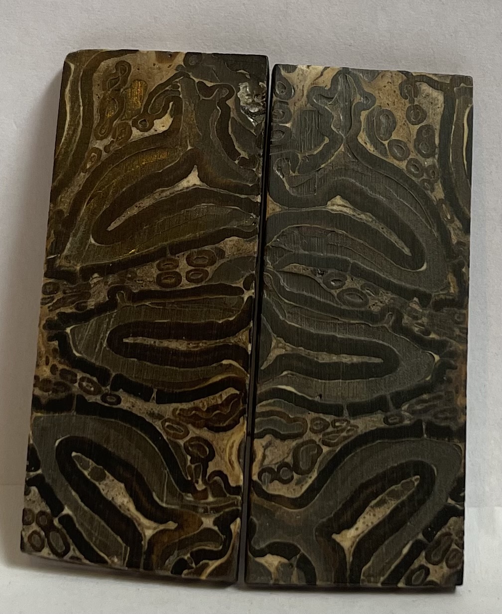 Fernwood          2-5/16 X 15/16 X 1/8
