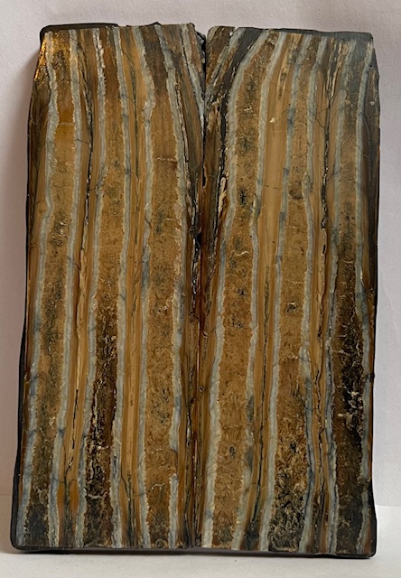 MAMMOTH TOOTH                4-3/4 X 1-9/16 X 3/16