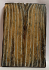 MAMMOTH TOOTH                4-3/4 X 1-9/16 X 3/16