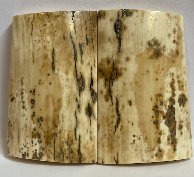 MAMMOTH IVORY SCALES             3-1/16 X 1-15/16 X 5/16