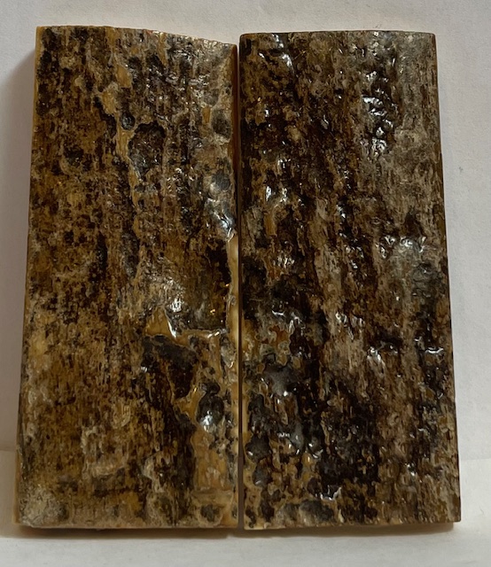  MAMMOTH IVORY SCALES             2-3/4 X 1-1/8 X 7/32