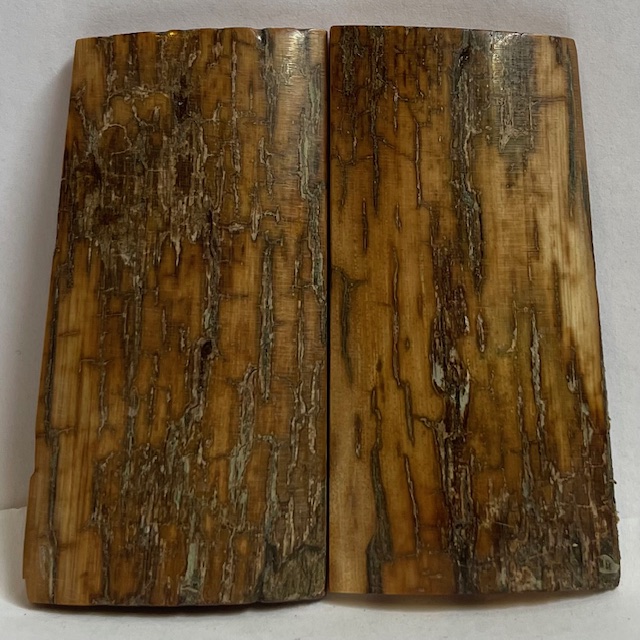  MAMMOTH IVORY SCALES           2-9/16 X 1-3/16 X 5/32