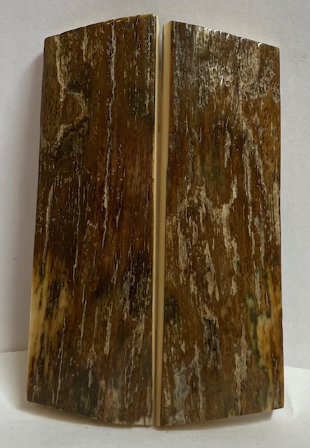 MAMMOTH IVORY SCALES           2-7/8 X 15/16 X 3/16