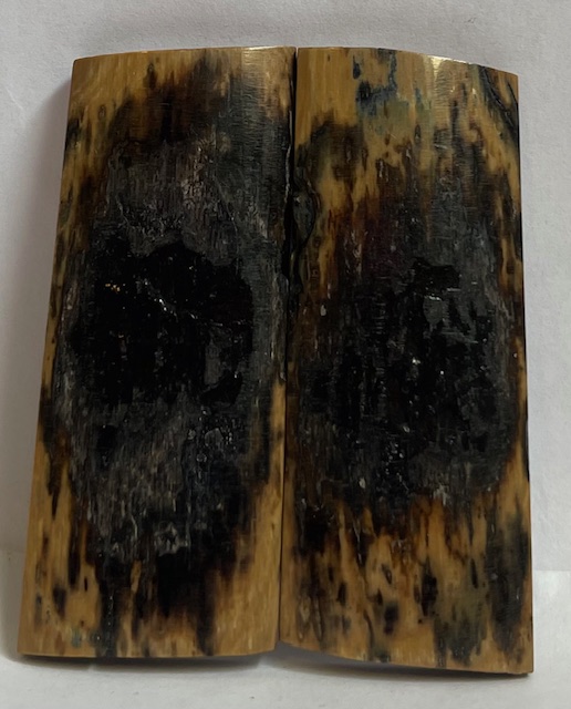  MAMMOTH IVORY SCALES           2-9/16 X 1 X 3/16
