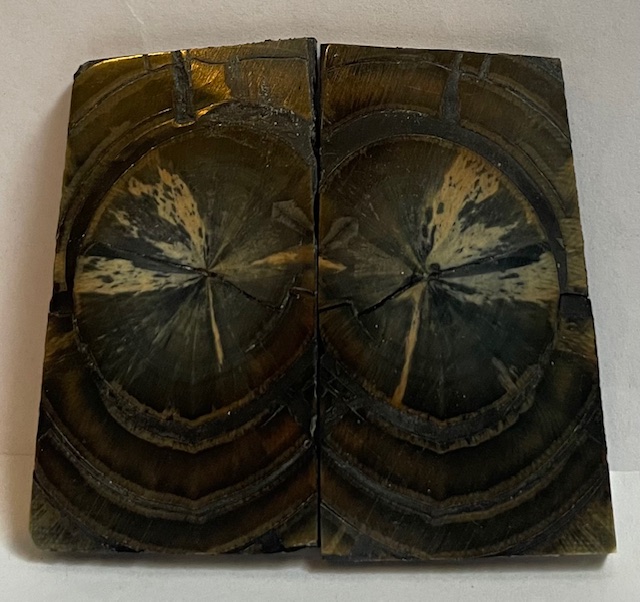 END GRAIN CUT MAMMOTH IVORY            2-3/16 X 1-1/8 X 1/8