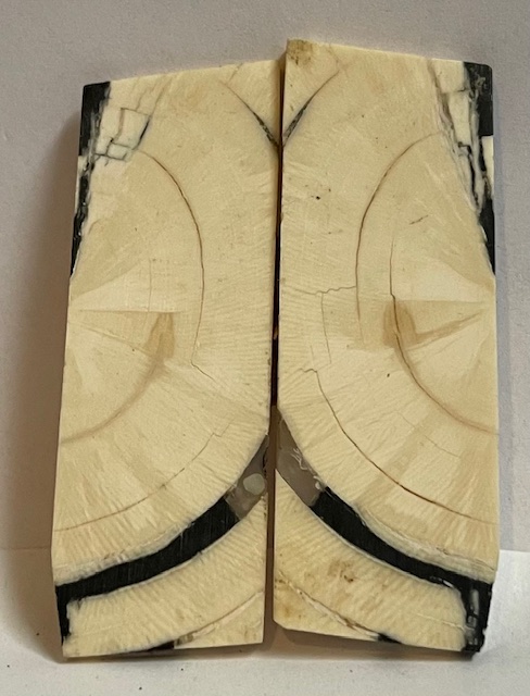 END GRAIN CUT MAMMOTH IVORY            2-1/4 X 13/16 X 1/16
