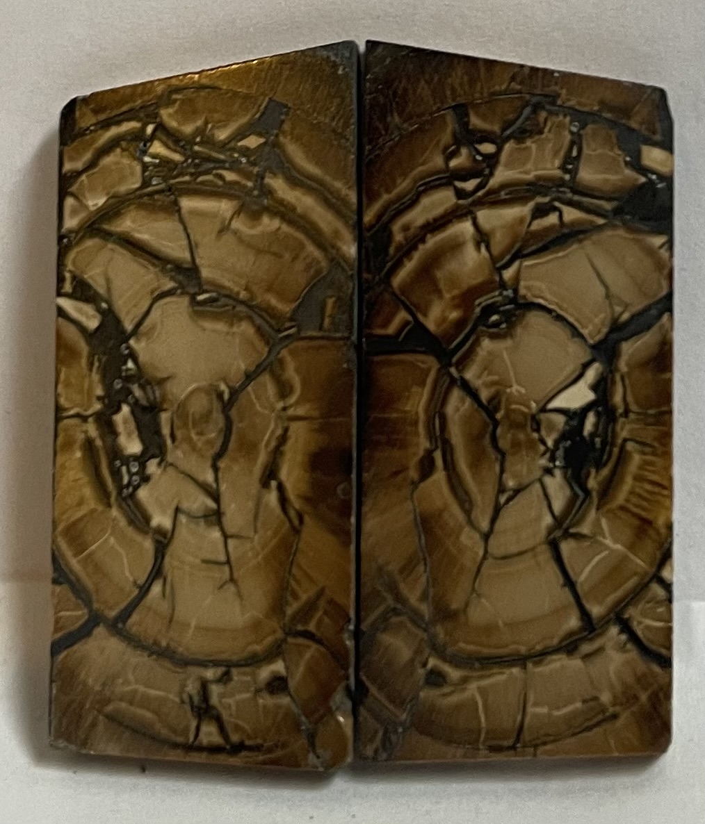 END GRAIN CUT MAMMOTH IVORY            1-11/16 X 13/16 X 1/16