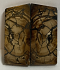 END GRAIN CUT MAMMOTH IVORY            1-11/16 X 13/16 X 1/16