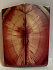 END GRAIN CUT MAMMOTH IVORY             2-1/8 X 15/16 to 1 X 1/8