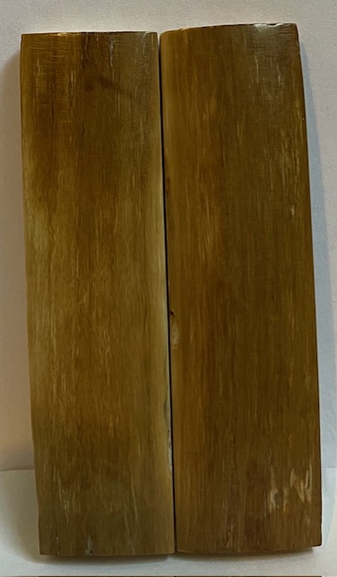  MAMMOTH IVORY SCALES           3-1/16 X 7/8 X 3/16