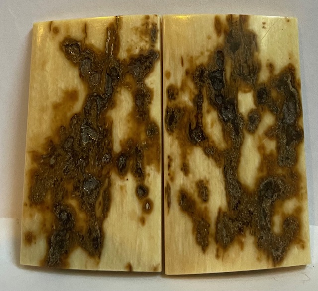  MAMMOTH IVORY SCALES    2-5/16 X 1-5/16 X 1/8